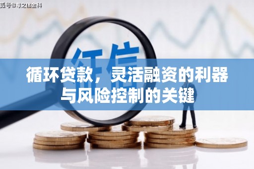 闵行循环贷款，灵活融资的利器与风险控制的关键