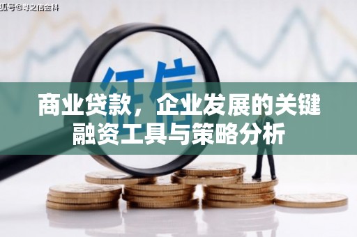 呼伦贝尔商业贷款，企业发展的关键融资工具与策略分析