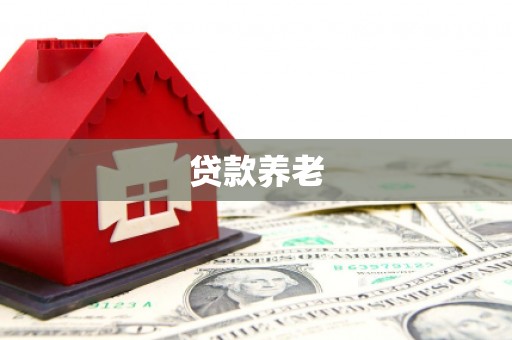 宽甸贷款养老