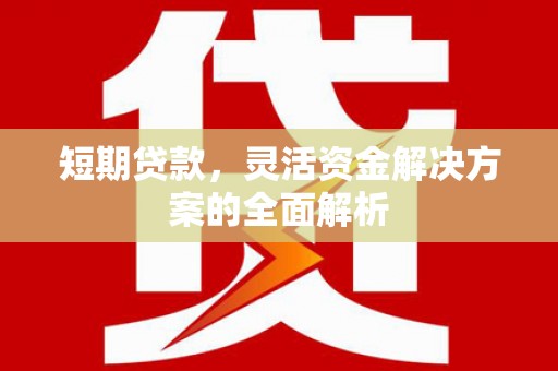 新龙短期贷款，灵活资金解决方案的全面解析