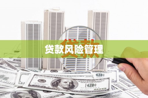 乌恰贷款风险管理
