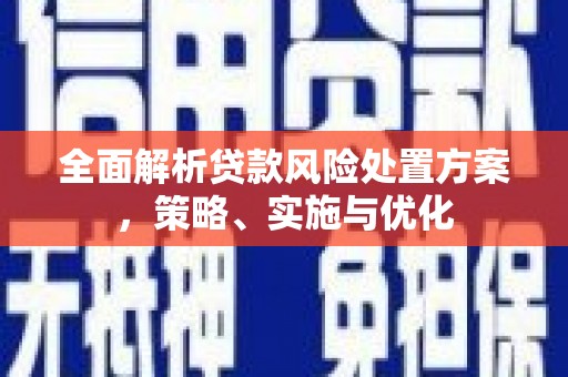 且末全面解析贷款风险处置方案，策略、实施与优化