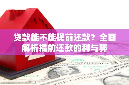 山东贷款能不能提前还款？全面解析提前还款的利与弊