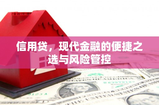 山上信用贷，现代金融的便捷之选与风险管控