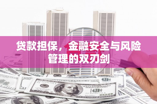 丰县贷款担保，金融安全与风险管理的双刃剑