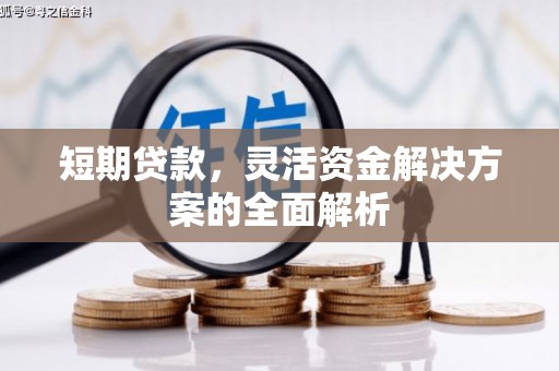 六甲短期贷款，灵活资金解决方案的全面解析