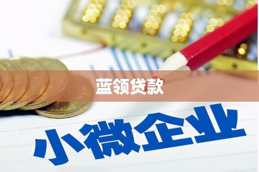 礼县蓝领贷款