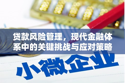 乌恰贷款风险管理，现代金融体系中的关键挑战与应对策略
