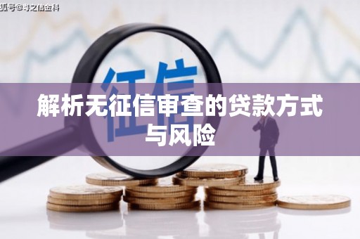 阜阳解析无征信审查的贷款方式与风险