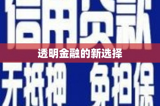 滨海透明金融的新选择