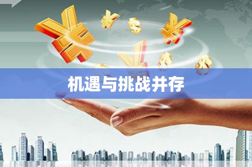 蔡甸机遇与挑战并存
