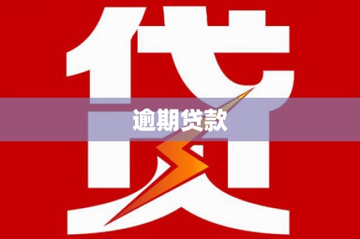宝兴逾期贷款