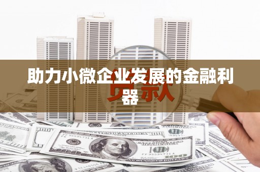 汉南助力小微企业发展的金融利器