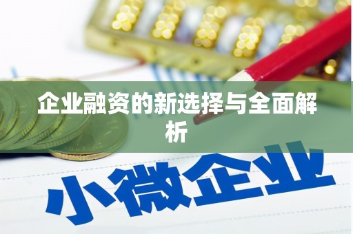独山企业融资的新选择与全面解析