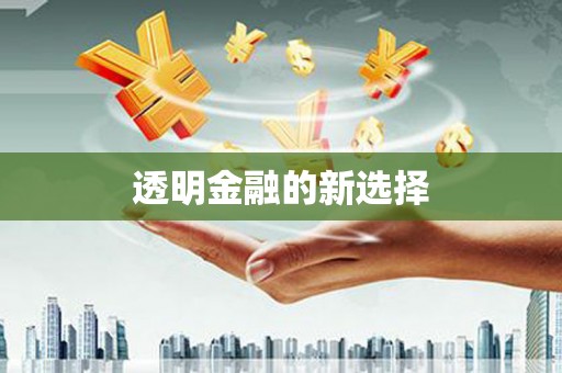 石龙透明金融的新选择