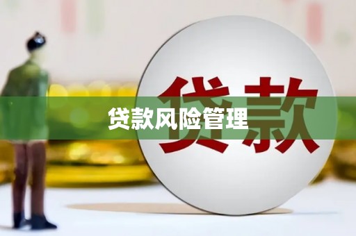 保亭贷款风险管理