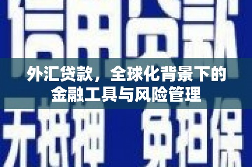 绥阳外汇贷款，全球化背景下的金融工具与风险管理